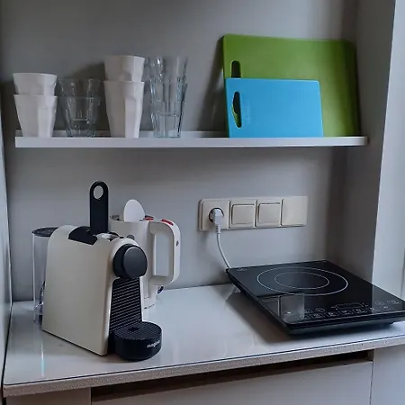 Het Dijkhuis 埃尔瑟尔